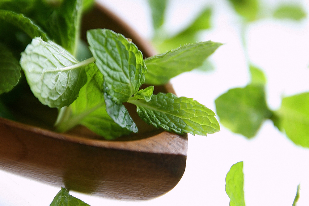 ホームページ開設いたしました。